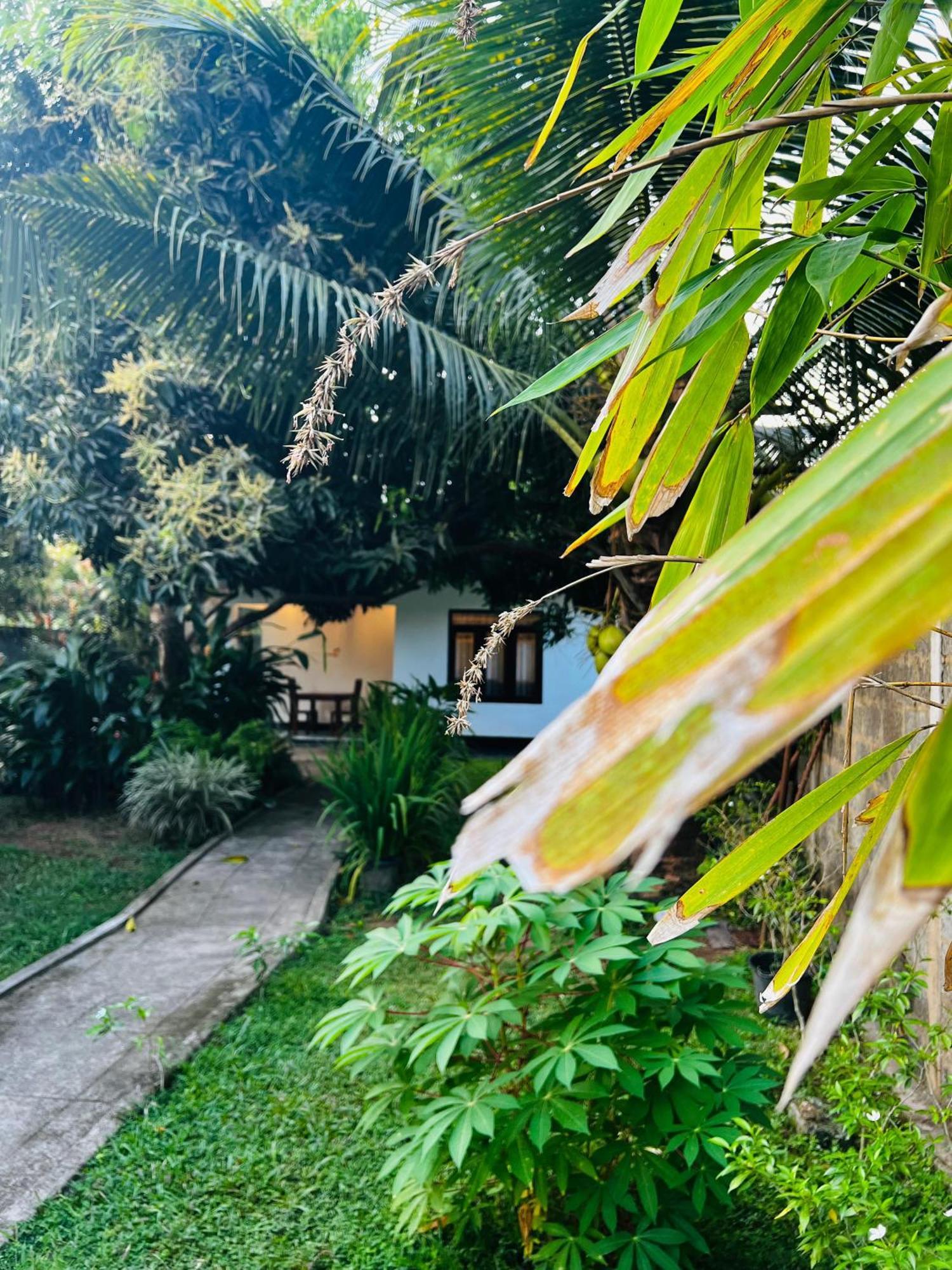 The Mango Retreat Villa Mirissa Kültér fotó
